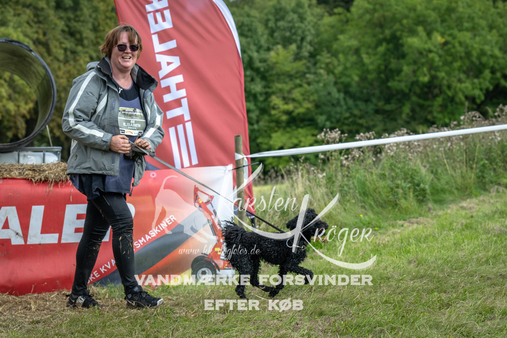 1334_ZZ93902 | kk-dogfotos