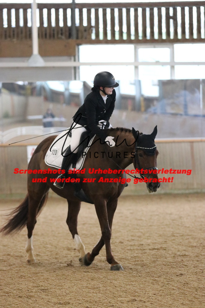 IMG_6408 | lmwpictures - Realisiert mit Pictrs.com