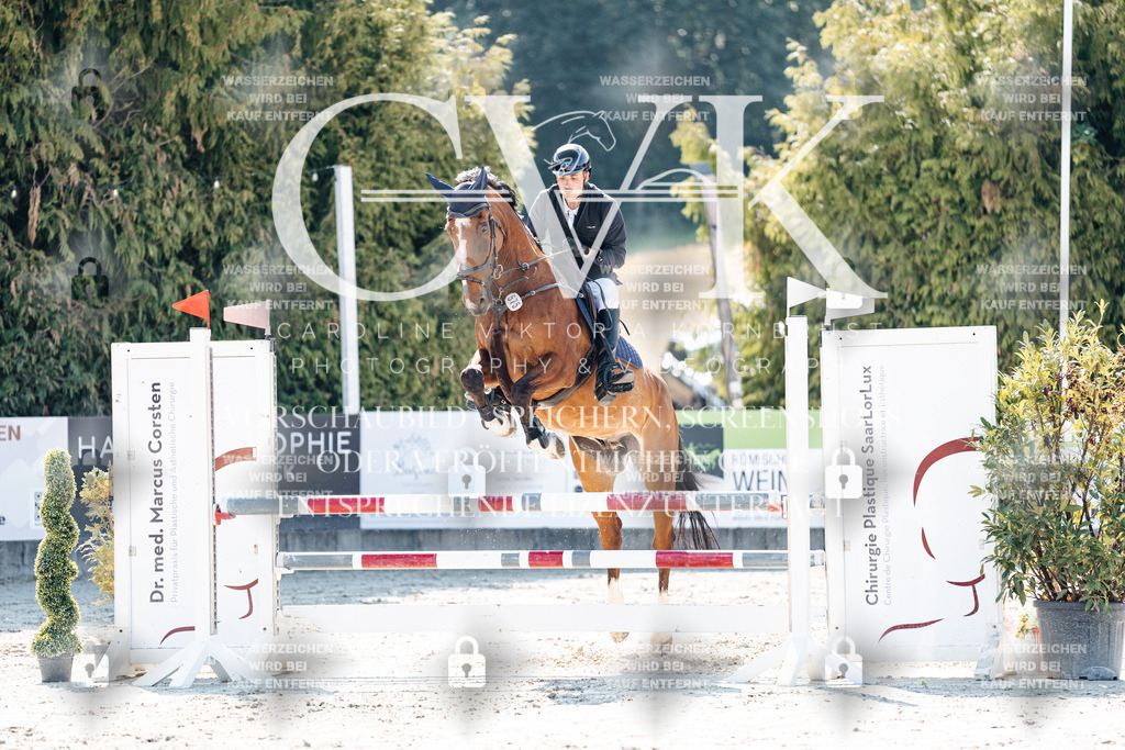 CK908077 | Turnierfotografie Pferdefotografie Trier Rheinland-Pfalz Pferdesport Reitsport Tierfotografie Sportfotografie Pferdevideo Pferdevideografie Equestrianvideography equestrianphotography  - Realisiert mit Pictrs.com
