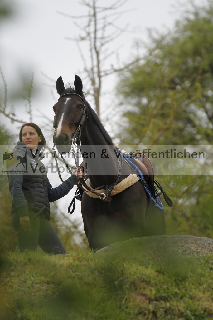 _MG_2690 | equestrian-live-com