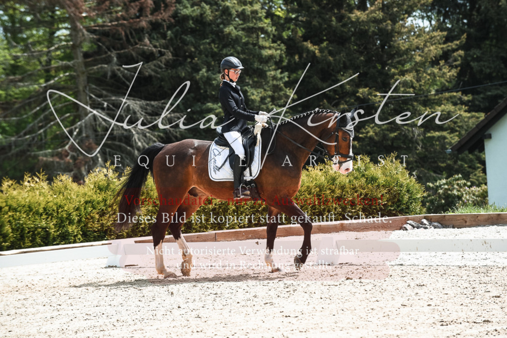 20230518_JK-Röhrsdorf-11-0415 | Pferde- und Turnierfotografie in Westsachsen. Pferdeportraits, Auftragszeichnungen und intuitive Kunst.