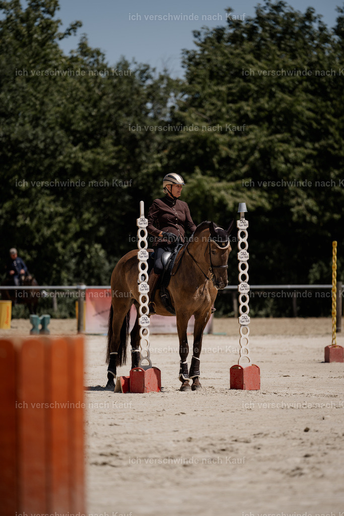 WS_ST_60_stoibphotography_SO11025 | working equitationturnier fotograf videograf stoibphotography marixx film working equitation deutschland reitsport turnierfotografie eventfotografie equestrian events