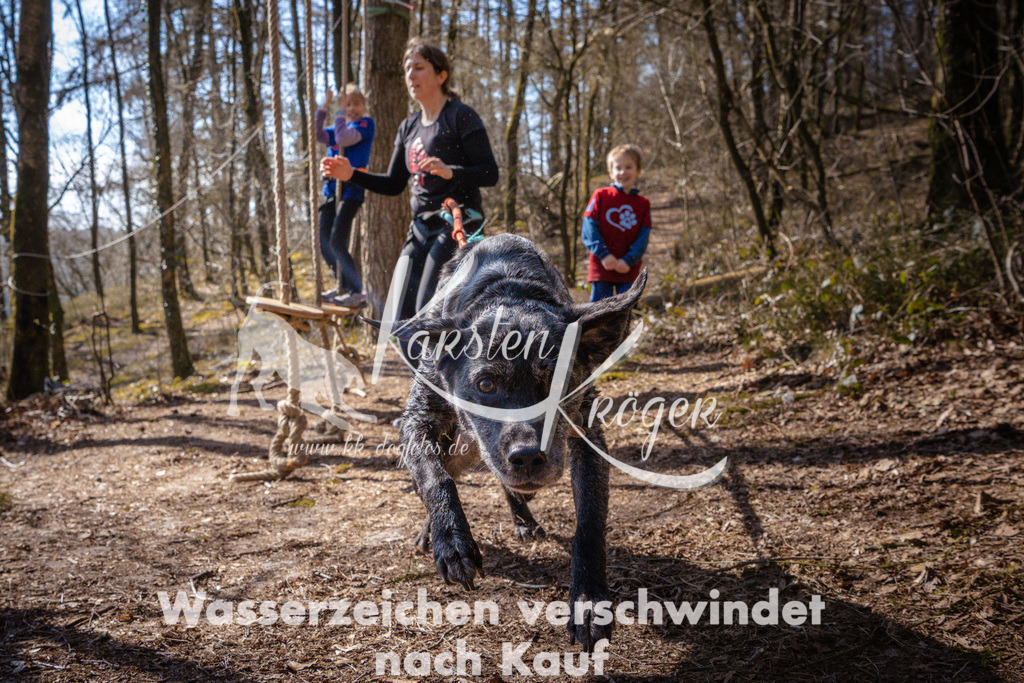 1117_ZZ97406 | kk-dogfotos