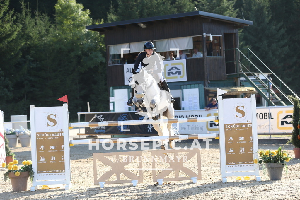 DL2Q0741 | Willkommen bei Brunnmayr - Design & Fotografie – Ihrem Spezialisten für Reitturniere und Pferdeveranstaltungen in Oberösterreich, Salzburg und Bayern! Seit über 17 Jahren sind wir leidenschaftlich dabei.
