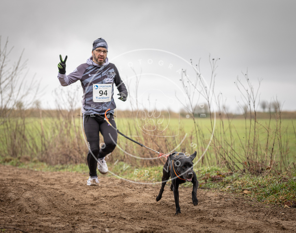 DV3A0066 | Hundefotografie, Tierfotograf, Pfotenfotografie, Fotoshooting Hund, Hunde Portrait, Hundesport, Hundeportraits, Heideshooting, Hunde, Sportfotograf, Hundefotograf, Turnierhundsport, THS,  - Realisiert mit Pictrs.com