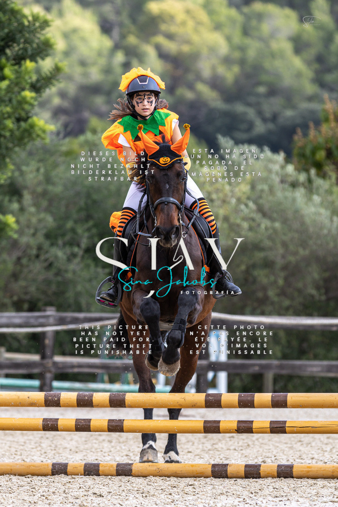 IMG_2250 | s-jay-photography - Realisiert mit Pictrs.com