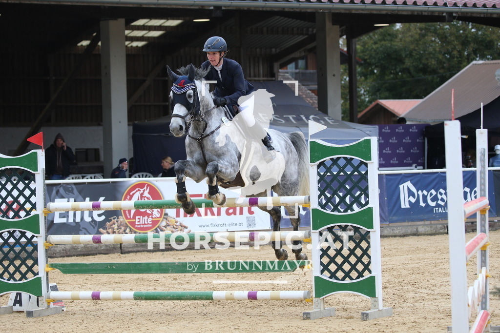 DL2Q2285 | Willkommen bei Brunnmayr - Design & Fotografie – Ihrem Spezialisten für Reitturniere und Pferdeveranstaltungen in Oberösterreich, Salzburg und Bayern! Seit über 17 Jahren sind wir leidenschaftlich dabei.
