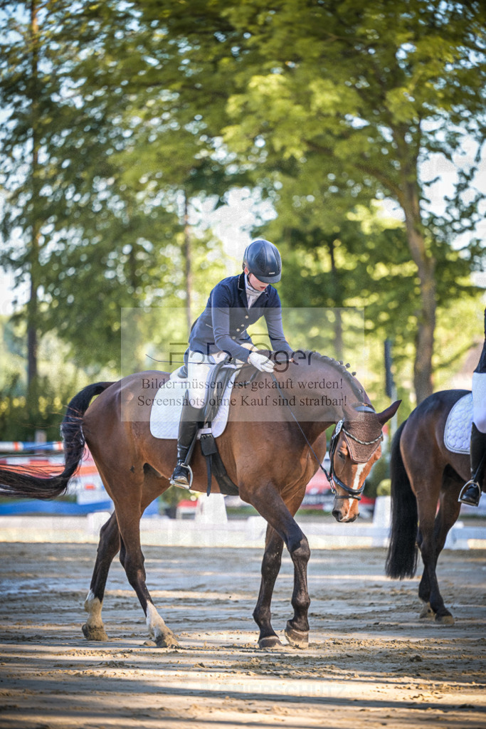 DOS_3785 | Entdecke hochwertige Reitturnierfotos von Foto Oger. Professionell, emotional und authentisch – jetzt Lieblingsmomente im Shop bestellen.Deutschlandweite Turnierfotografie. - Realisiert mit Pictrs.com