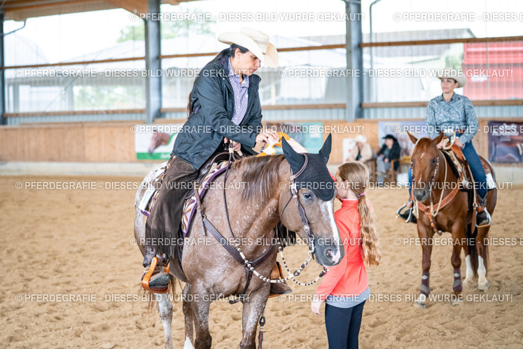 DSC03489 | Pferdegrafie