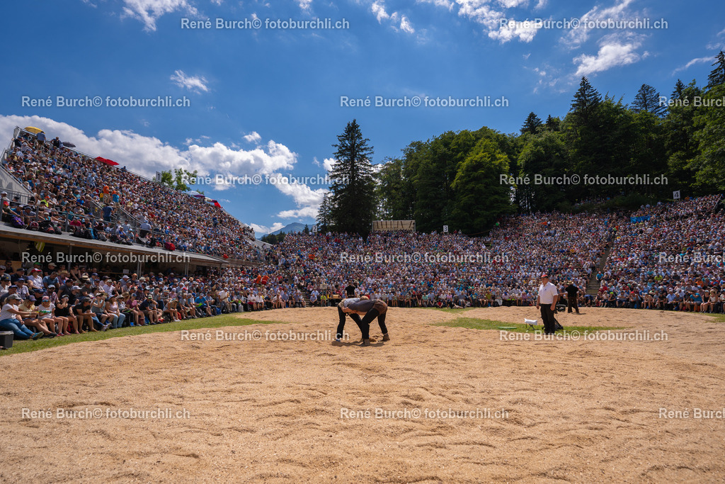 DSC06946-3 | René Burch leidenschaftlicher Fotograf aus Kerns in Obwalden.  Hier finden sie Sport, Landschaft und Natur Fotografie.
 - Realisiert mit Pictrs.com