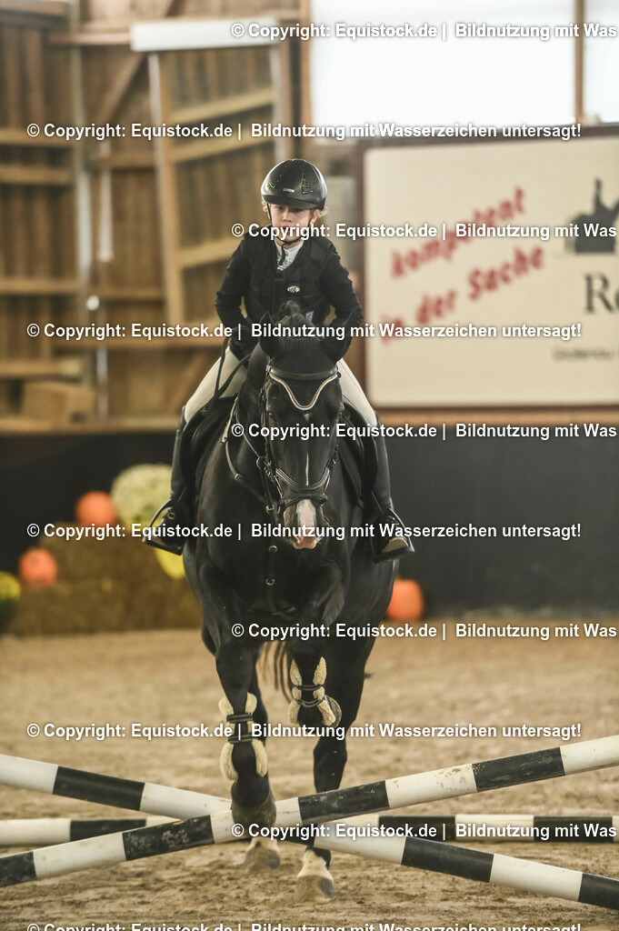 20231029_06_Springreiter-WB_0025 | Foto: Thomas Hartig