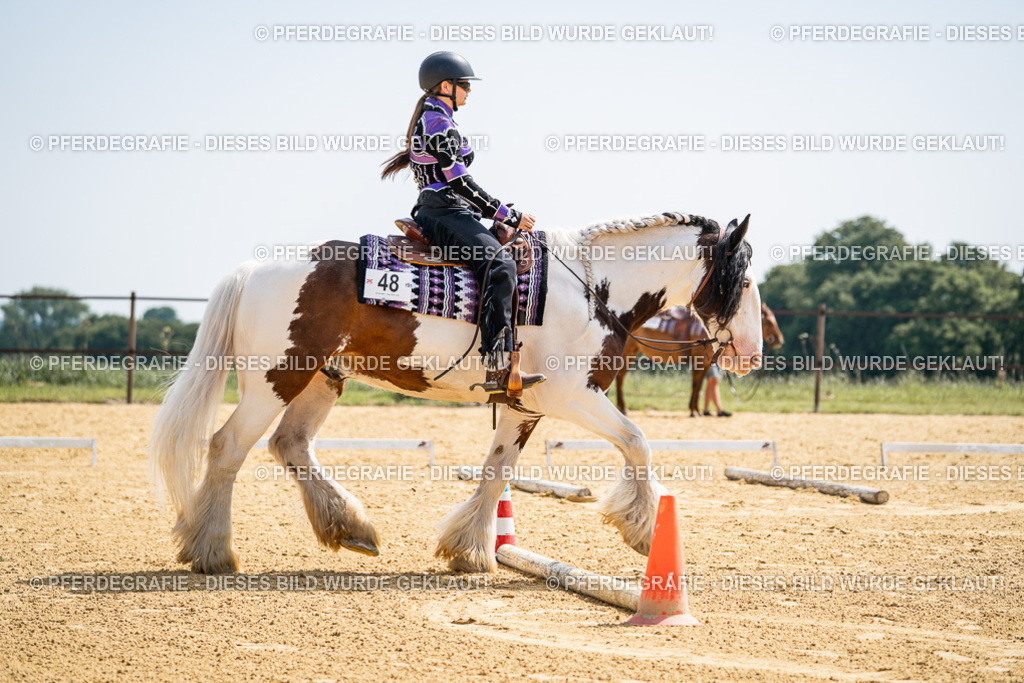 DSC00065 | Pferdegrafie