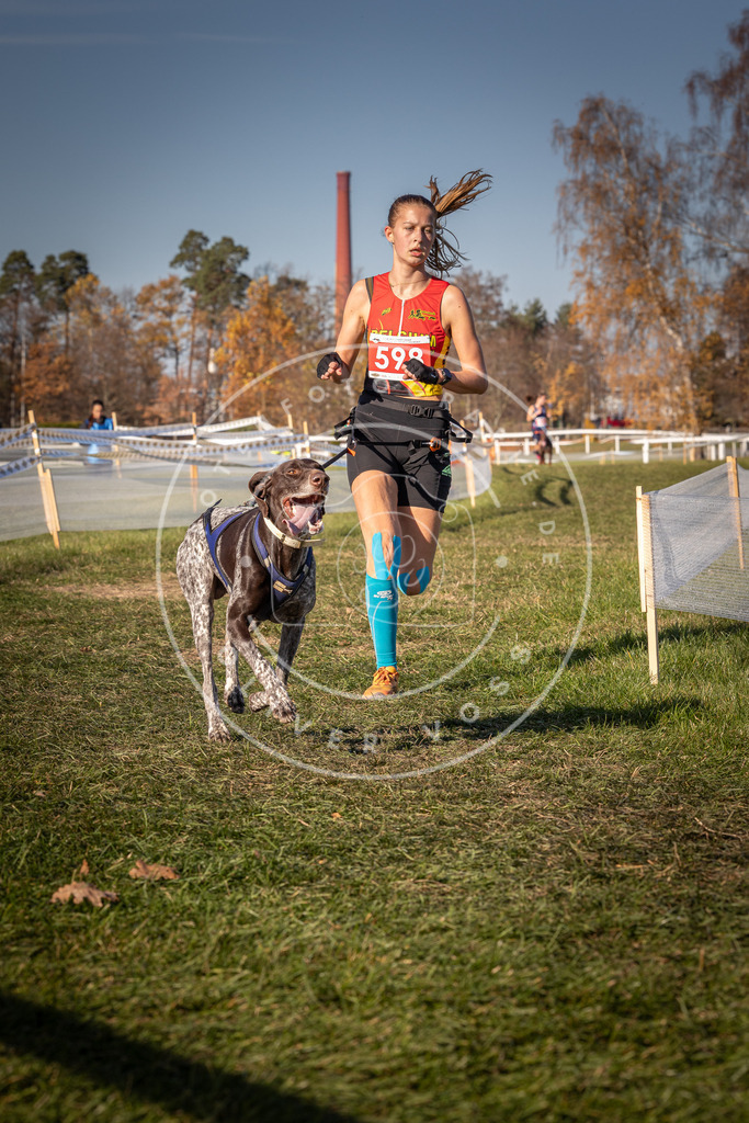 CaniXpix_0L8A8480 | Hundefotografie, Tierfotograf, Pfotenfotografie, Fotoshooting Hund, Hunde Portrait, Hundesport, Hundeportraits, Heideshooting, Hunde, Sportfotograf, Hundefotograf, Turnierhundsport, THS,  - Realisiert mit Pictrs.com