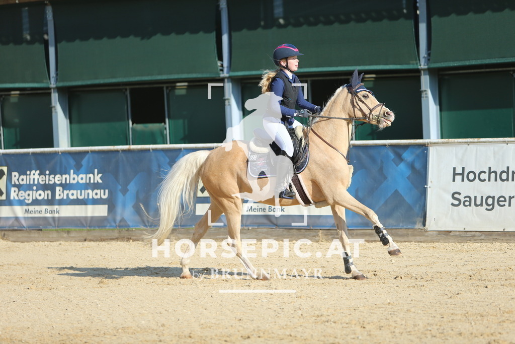 DL2Q2133 | Willkommen bei Brunnmayr - Design & Fotografie – Ihrem Spezialisten für Reitturniere und Pferdeveranstaltungen in Oberösterreich, Salzburg und Bayern! Seit über 17 Jahren sind wir leidenschaftlich dabei.