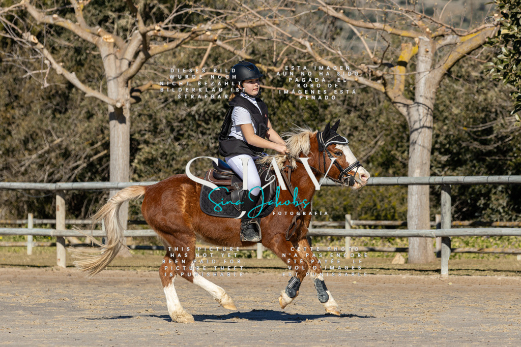 IMG_8133 | s-jay-photography - Realisiert mit Pictrs.com