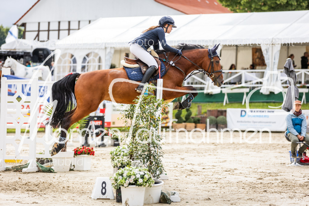 BHO-2PhSpr-M-5-2176 | MomenTaufnahmen Pferdesportfotos