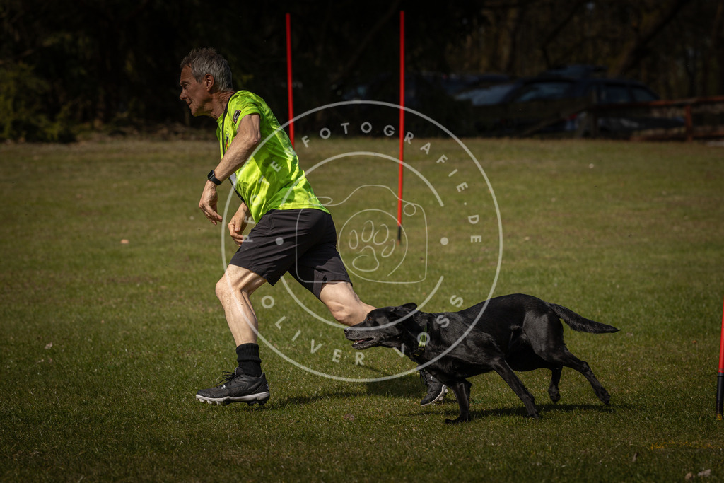 Pfotenfotografie_DV3A4127 | Hundefotografie, Tierfotograf, Pfotenfotografie, Fotoshooting Hund, Hunde Portrait, Hundesport, Hundeportraits, Heideshooting, Hunde, Sportfotograf, Hundefotograf, Turnierhundsport, THS,  - Realisiert mit Pictrs.com