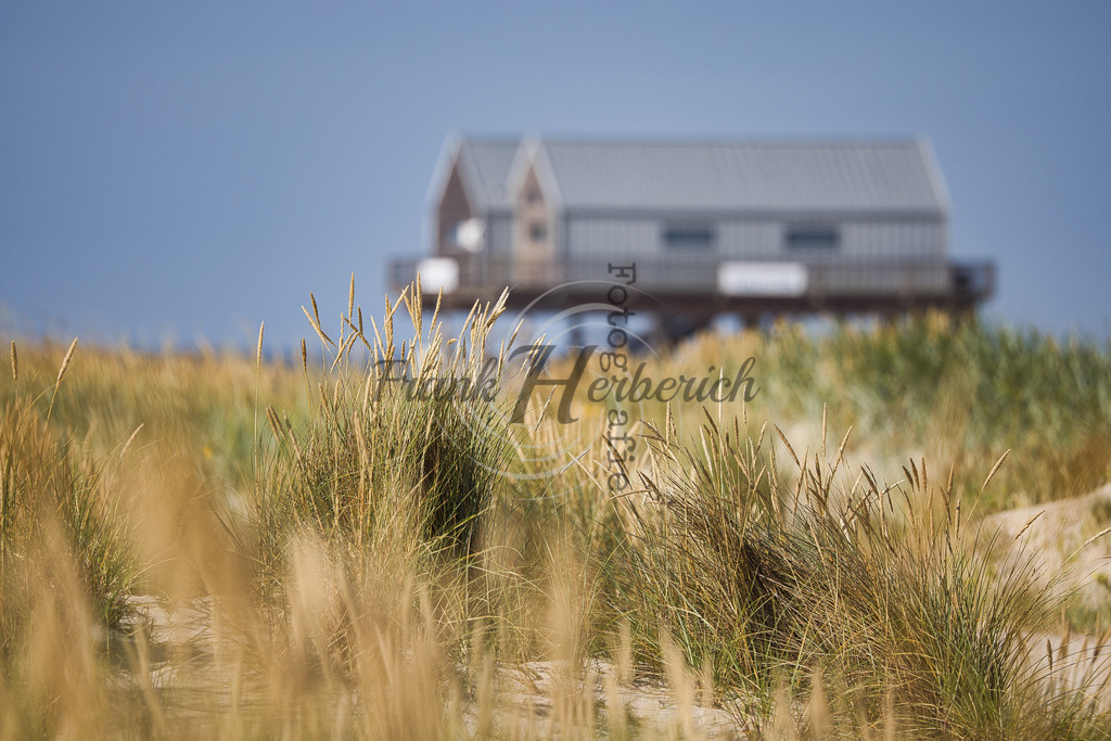 St. Peter Ording | St. Peter Ording - Realisiert mit Pictrs.com