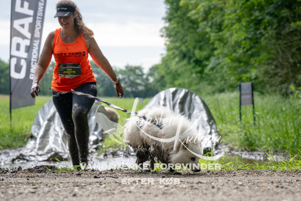 0930_ZZ90979 | kk-dogfotos