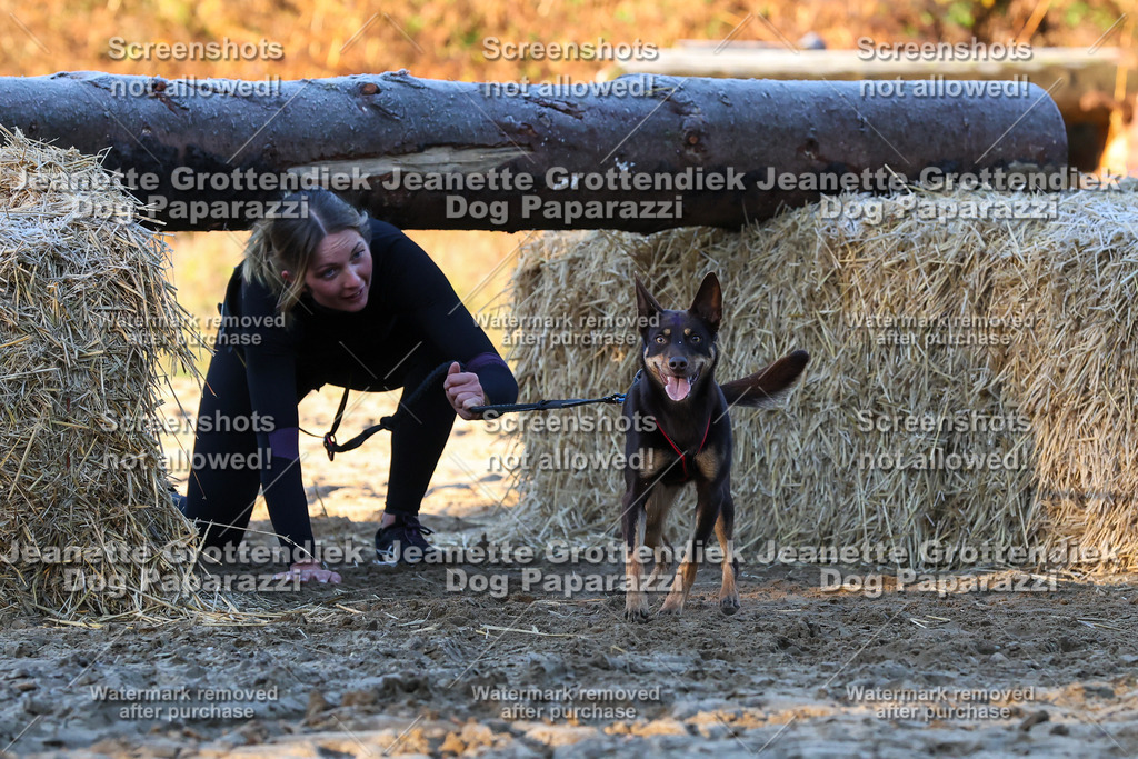 Dog Paparazzi - Strongdog 10-25-592 | Dog Paparazzi Jeanette Grottendiek Fotografie & Videografie - Realisiert mit Pictrs.com
