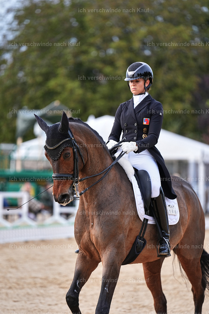 13-186-S___ -Marixx-7084 | working equitationturnier fotograf videograf stoibphotography marixx film working equitation deutschland reitsport turnierfotografie eventfotografie equestrian events