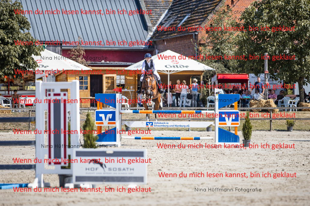 BK1A6908 | Turnierbilder Turnierfotos Nina Hüffmann Turnierfotografie Pferdefotografie Tierzeichnung Haustierzeichnung Pferdezeichnung Hundezeichnung Videograf  - Realisiert mit Pictrs.com