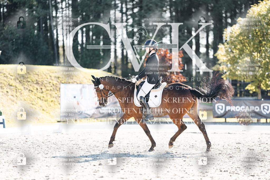 CK906217 | Turnierfotografie Pferdefotografie Trier Rheinland-Pfalz Pferdesport Reitsport Tierfotografie Sportfotografie Pferdevideo Pferdevideografie Equestrianvideography equestrianphotography  - Realisiert mit Pictrs.com