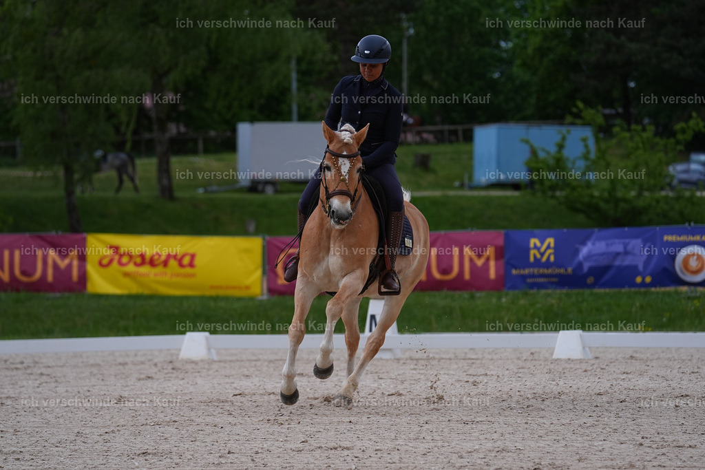 PI26_DR_241_Stoibphotography_SIN06096.jpg | working equitationturnier fotograf videograf stoibphotography marixx film working equitation deutschland reitsport turnierfotografie eventfotografie equestrian events