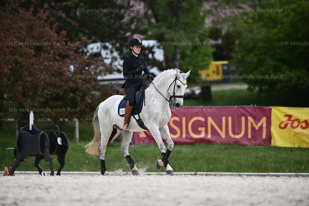 PI26_ST_Sara_Landvogt226_4032.JPG | working equitationturnier fotograf videograf stoibphotography marixx film working equitation deutschland reitsport turnierfotografie eventfotografie equestrian events