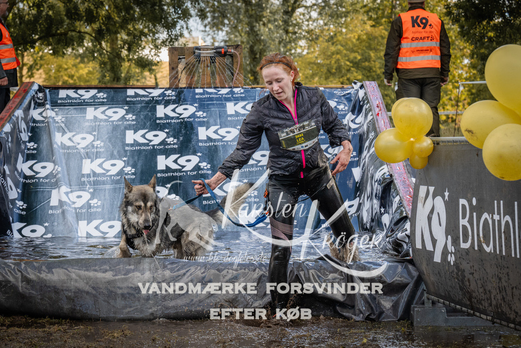 1542_ZZ90593 | kk-dogfotos