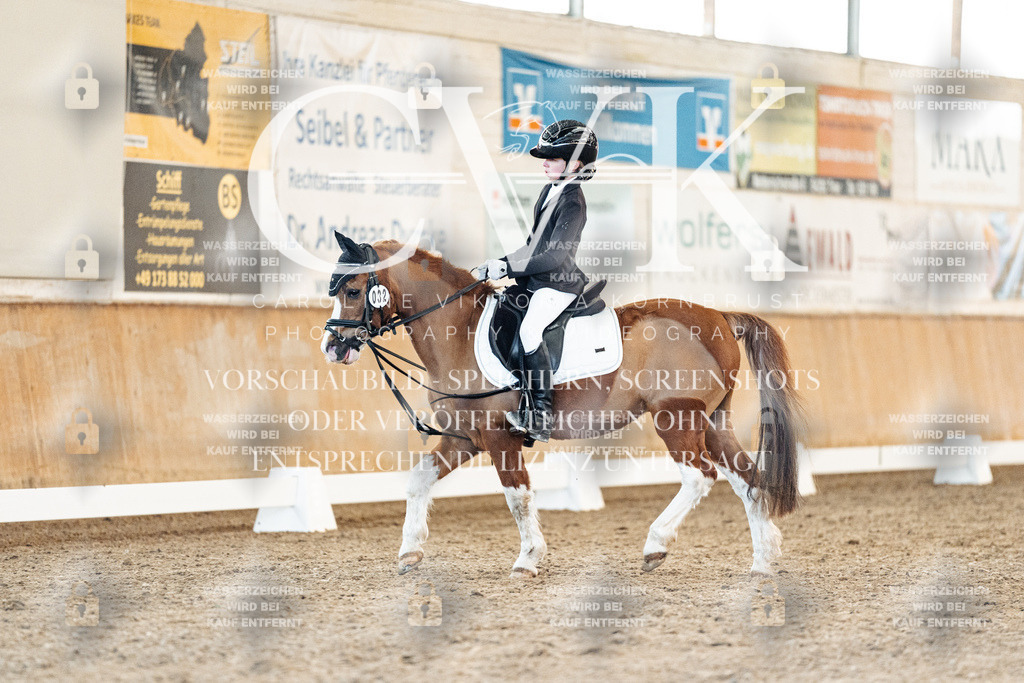 CK907334 | Turnierfotografie Pferdefotografie Trier Rheinland-Pfalz Pferdesport Reitsport Tierfotografie Sportfotografie Pferdevideo Pferdevideografie Equestrianvideography equestrianphotography  - Realisiert mit Pictrs.com