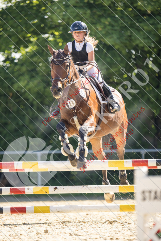 IMG_2953 | Sport-, Event- und Tierfotos in Profiqualität. Einfach auswählen, bestellen und herunterladen. Dein Moment – perfekt festgehalten.