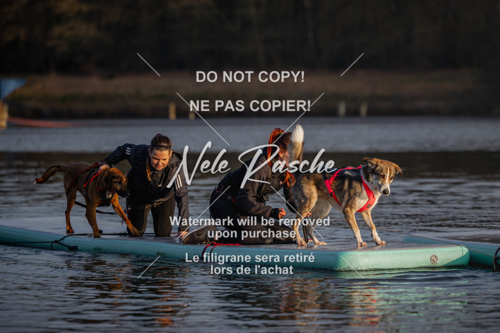 nelerasche_Hulsbeek_Sa1730-Ende_23 | nelerasche
