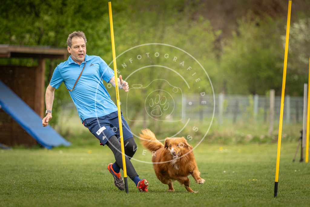 Pfotenfotografie_DV3A7372 | Hundefotografie, Tierfotograf, Pfotenfotografie, Fotoshooting Hund, Hunde Portrait, Hundesport, Hundeportraits, Heideshooting, Hunde, Sportfotograf, Hundefotograf, Turnierhundsport, THS,  - Realisiert mit Pictrs.com