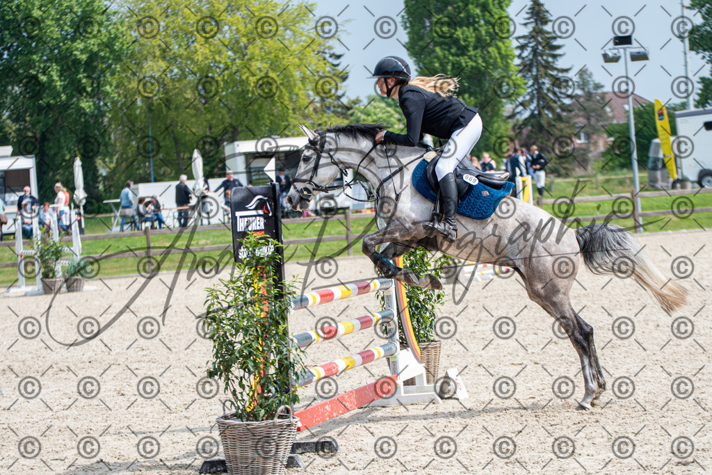 KPT_2954 | andre_photographic