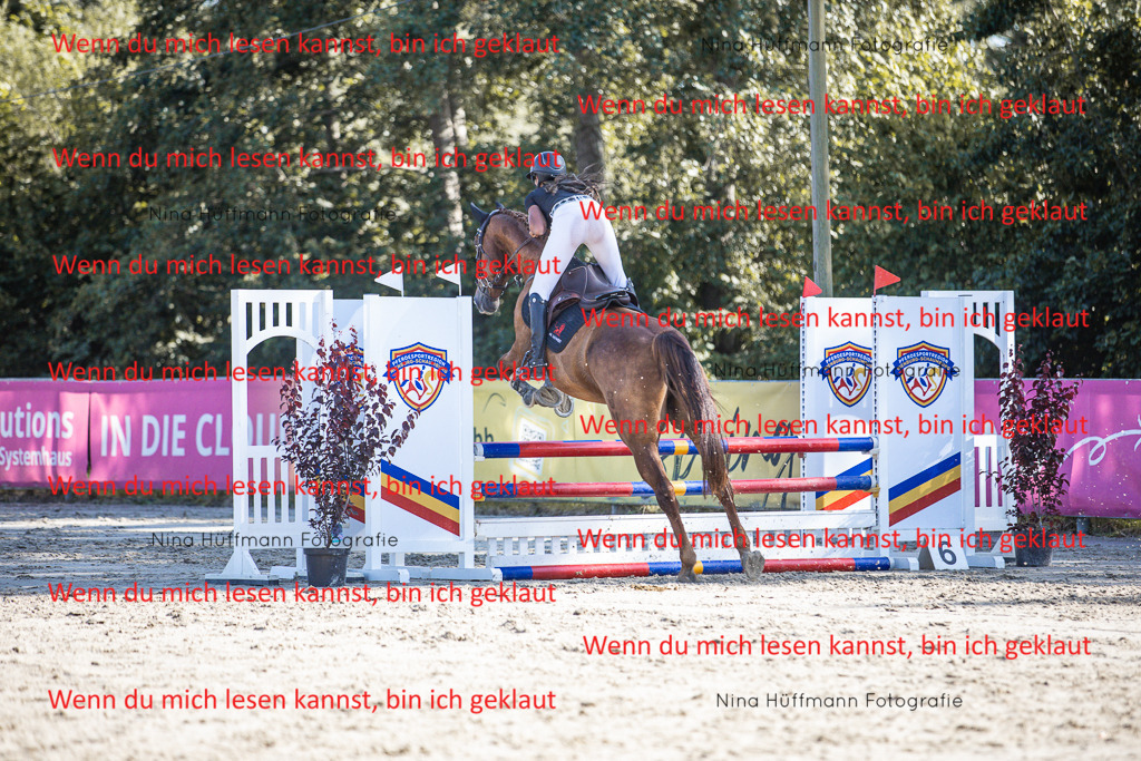 BK1A7324 | Turnierbilder Turnierfotos Nina Hüffmann Turnierfotografie Pferdefotografie Tierzeichnung Haustierzeichnung Pferdezeichnung Hundezeichnung Videograf  - Realisiert mit Pictrs.com