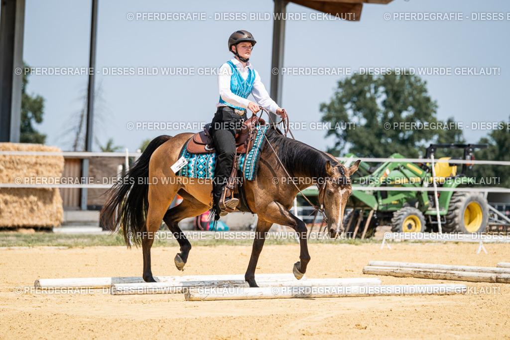 DSC01023 | Pferdegrafie