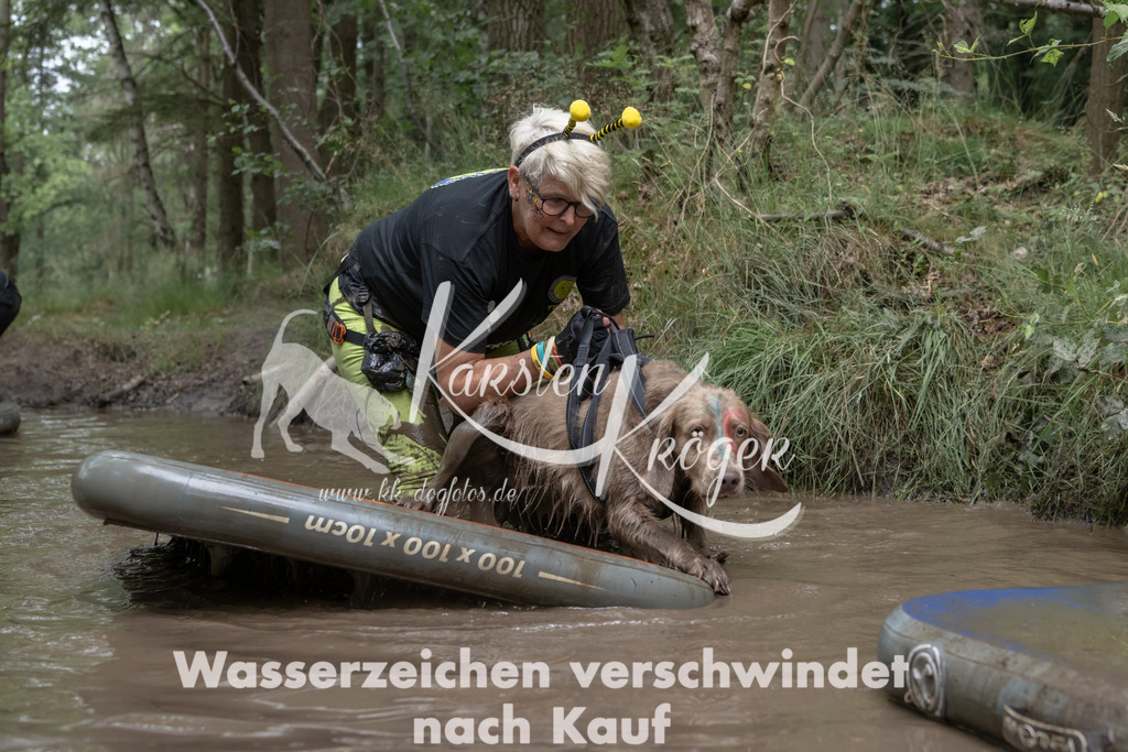 1338_ZZ95179 | kk-dogfotos