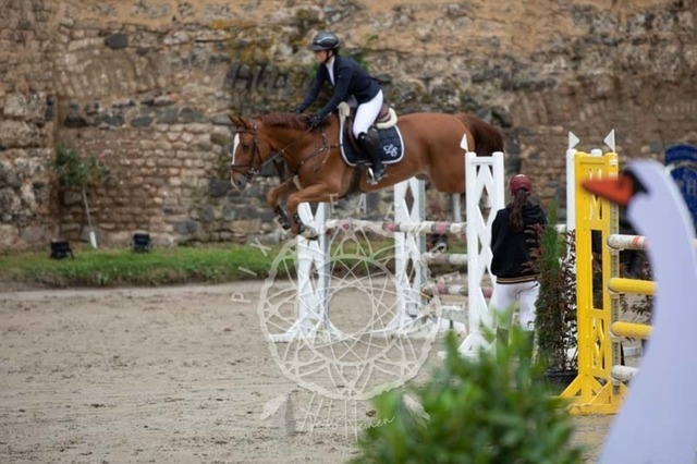 2B4A3488 | pixelfaenger - Realisiert mit Pictrs.com