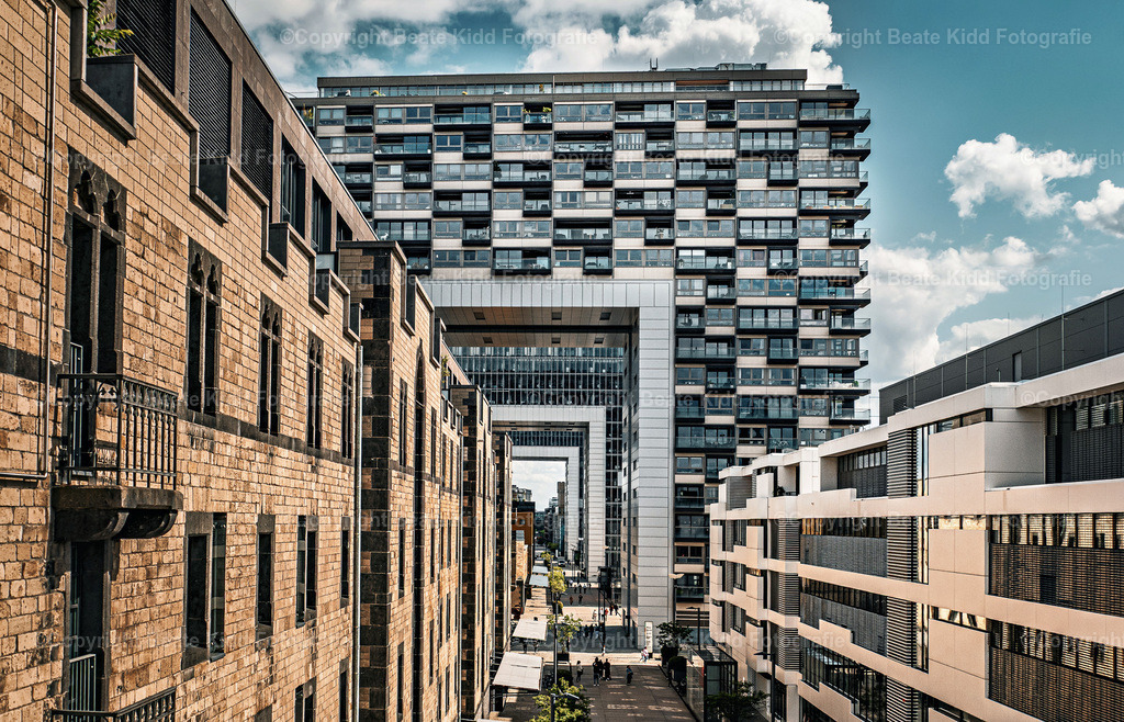 P1400061 | beatekidd-fotografie - Realisiert mit Pictrs.com