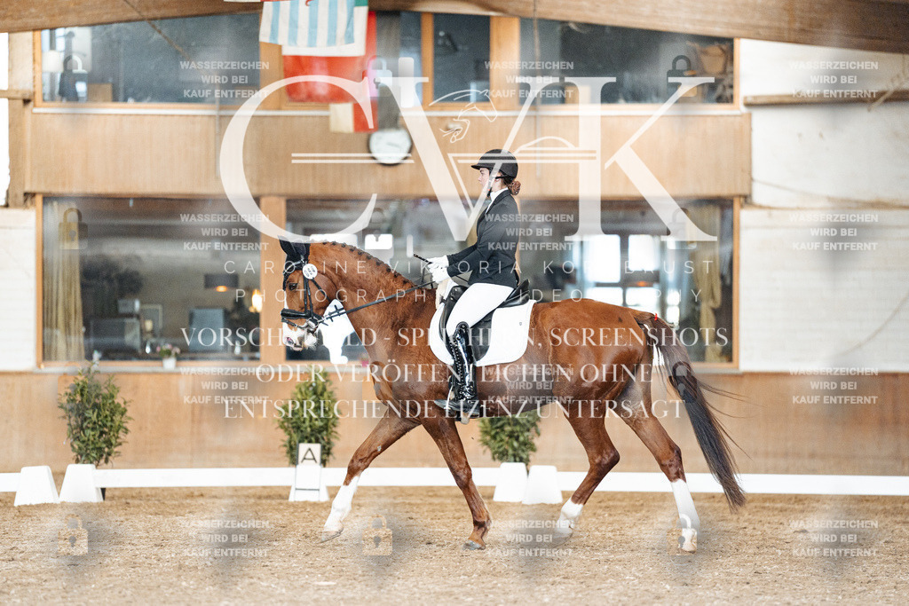 CK901717 | Turnierfotografie Pferdefotografie Trier Rheinland-Pfalz Pferdesport Reitsport Tierfotografie Sportfotografie Pferdevideo Pferdevideografie Equestrianvideography equestrianphotography  - Realisiert mit Pictrs.com