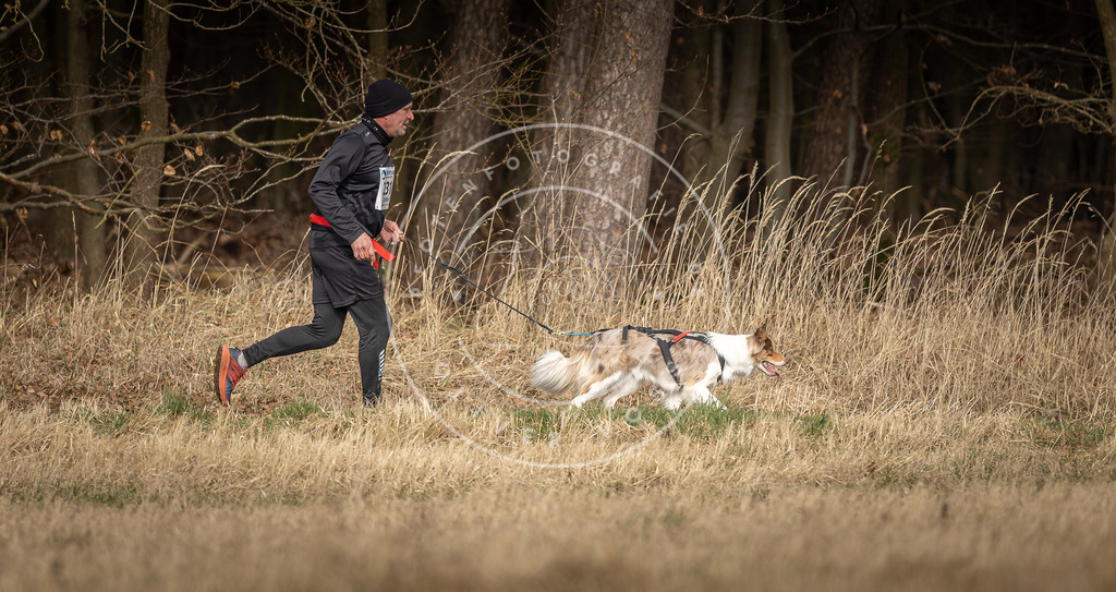 DV3A5408 | Hundefotografie, Tierfotograf, Pfotenfotografie, Fotoshooting Hund, Hunde Portrait, Hundesport, Hundeportraits, Heideshooting, Hunde, Sportfotograf, Hundefotograf, Turnierhundsport, THS,  - Realisiert mit Pictrs.com