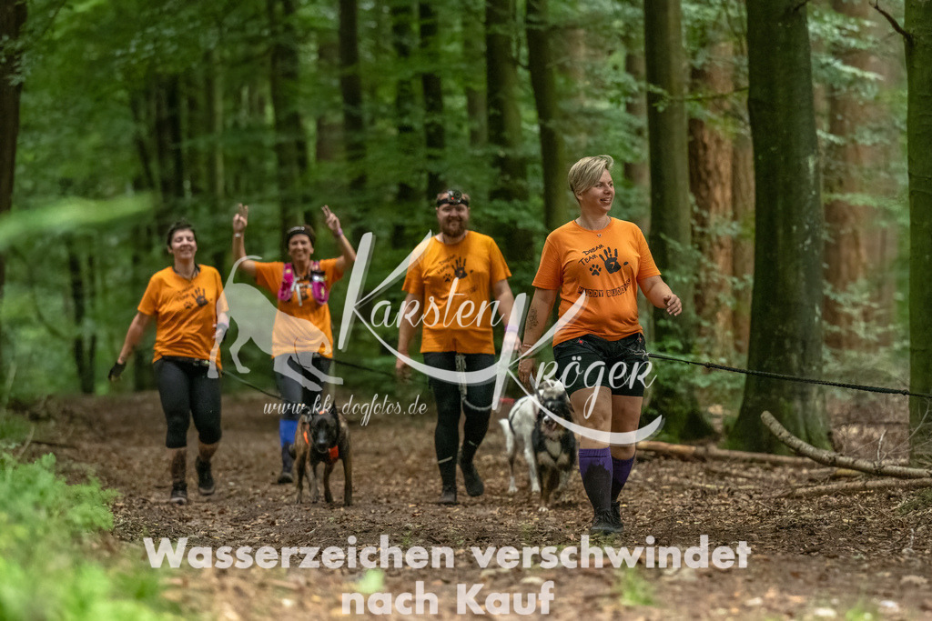 1144_ZZ90353-Bearbeitet | kk-dogfotos