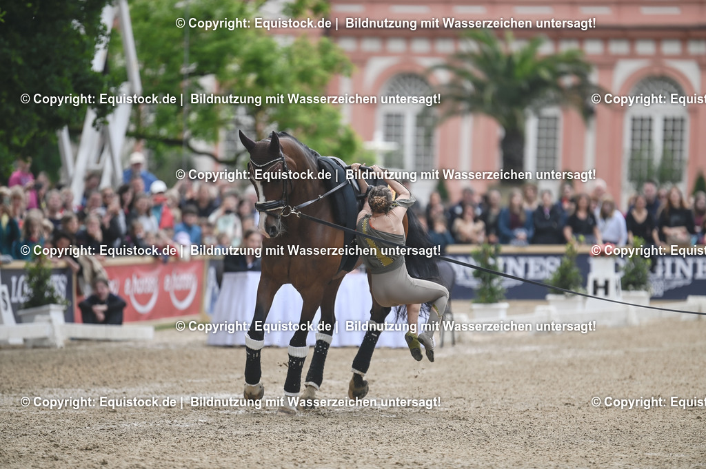 20240519_Voltige_0350 | Foto: Thomas Hartig