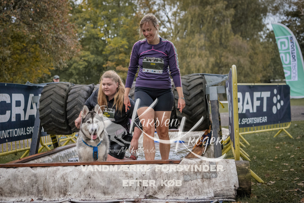 1704_ZZ94763 | kk-dogfotos