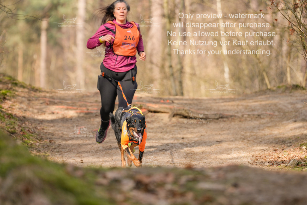 LangeCross_So-388 | stephaniefillaphotographie - Realisiert mit Pictrs.com