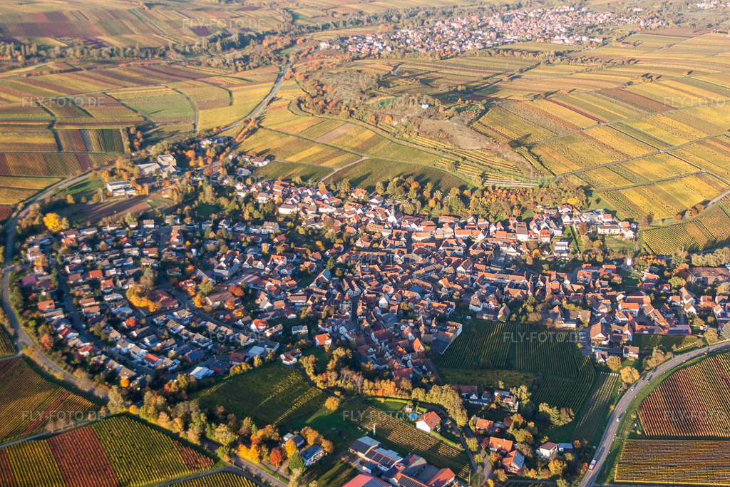 Luftbild: der Pfalz in Ilbesheim bei Landau im Bundesland Rheinland-Pfalz in Deutschland. Foto: IMG_60606.jpg vom 24.10.2013 durch Werner Riehm/FLY-FOTO.de