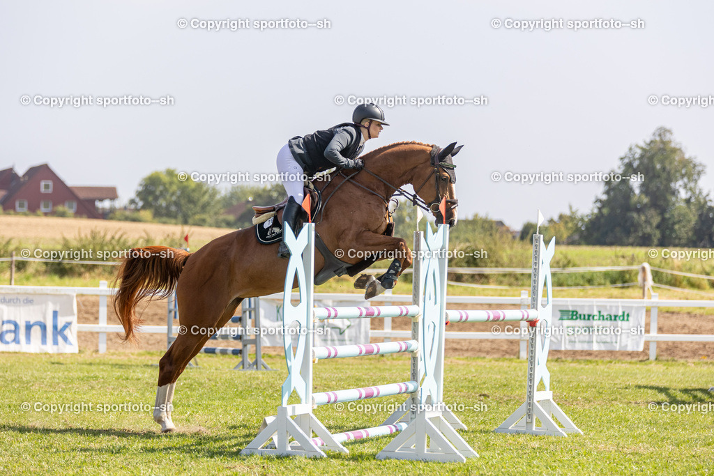 240831-VW-IS6A4212 | Sportfoto SH - Realisiert mit Pictrs.com