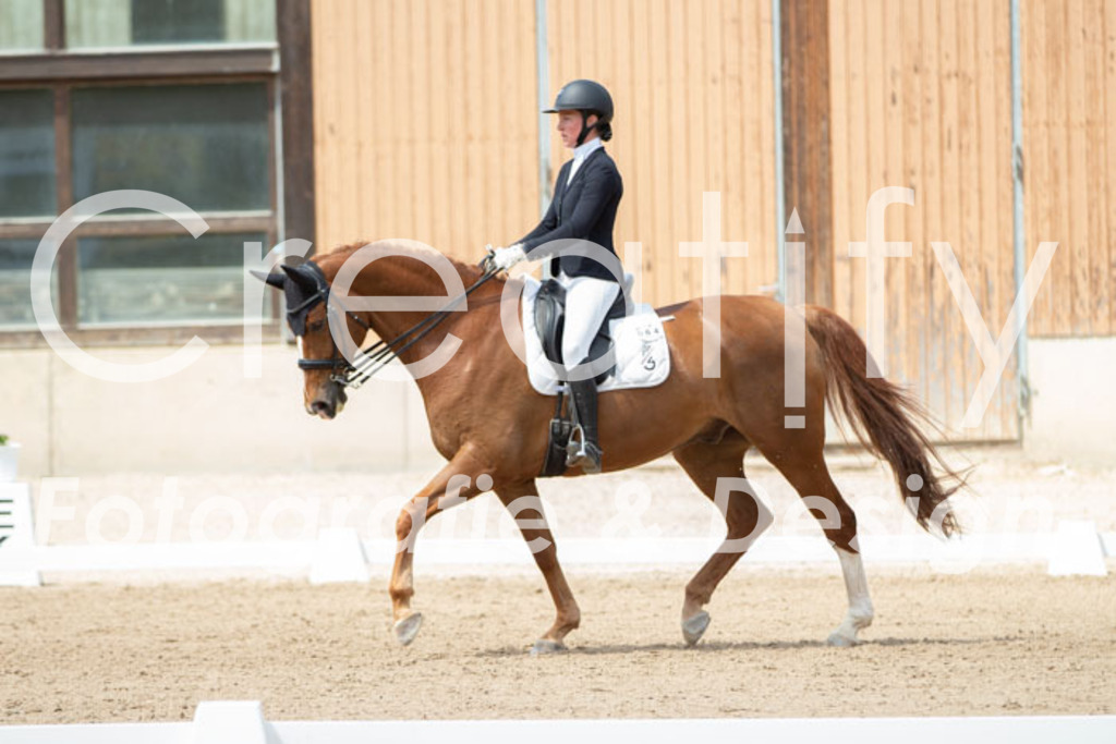 IMG_6137 | Creatify Fotografie