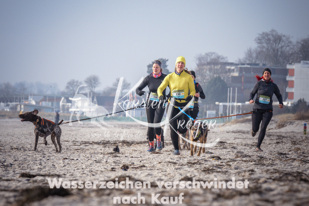 1015_ZZ94345 | kk-dogfotos